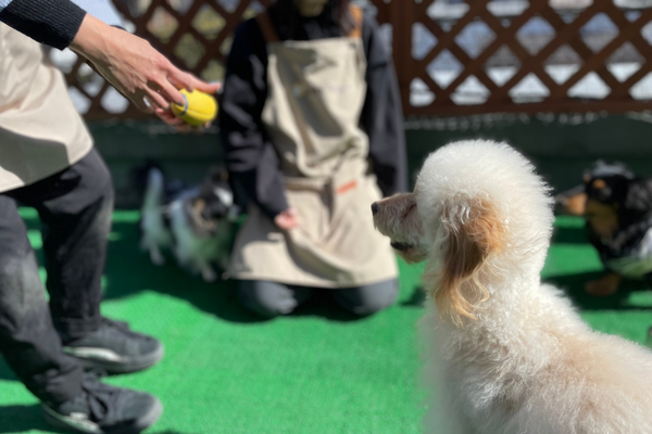 質問しやすい環境