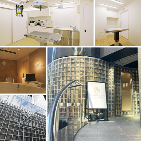 馬喰町動物病院