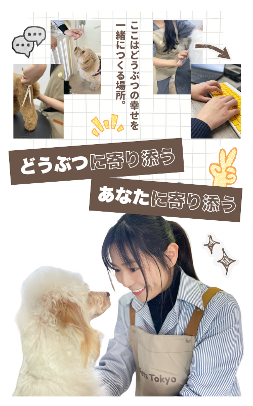 スマホ用ヒーロー画像