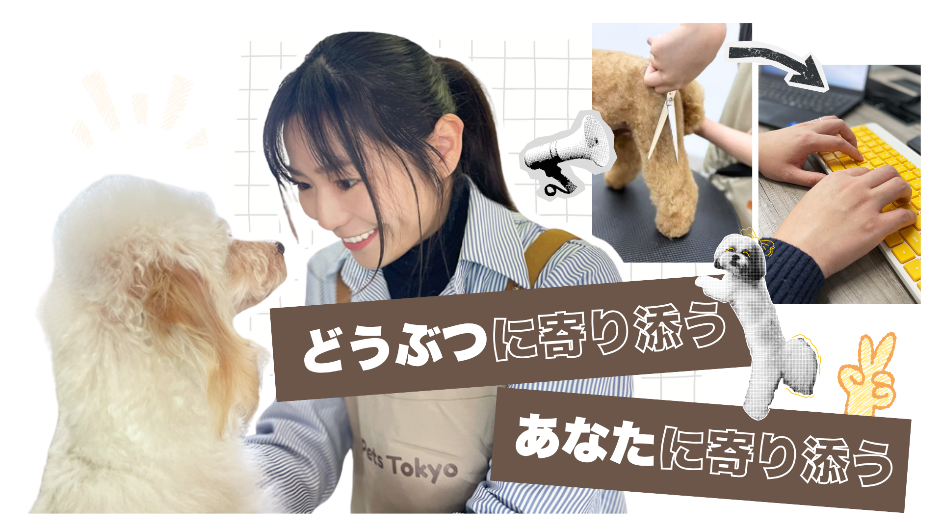 PC用ヒーロー画像